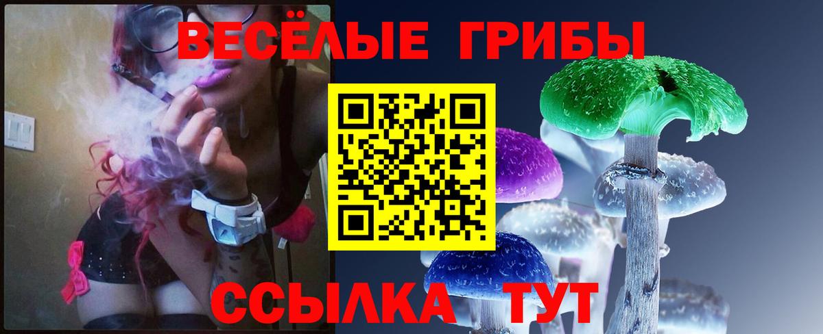 Рыбинск  Псилоцибиновые грибы Cubensis  Вход с VPN 